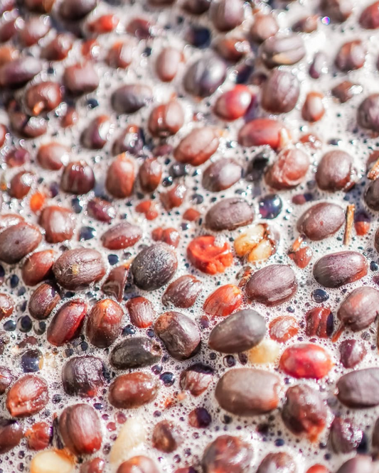 Langgan : Terang SO 08-01