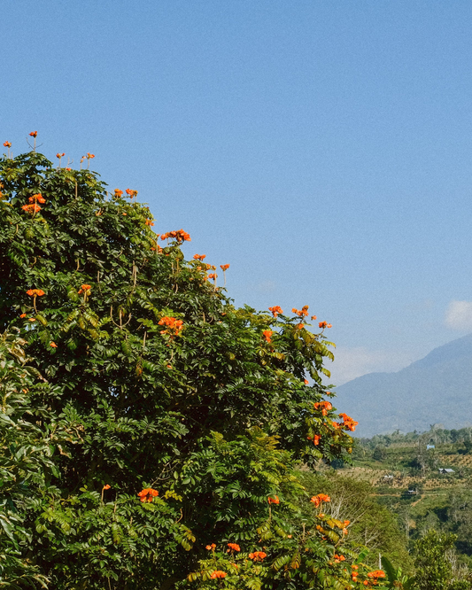 Farm Trip : Bali 2023 Bhg. 1