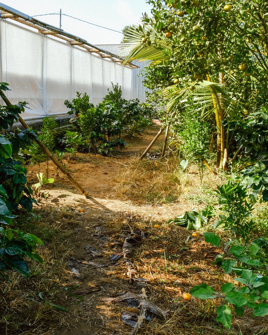 Farm Trip : Bali 2023 Bhg. 3