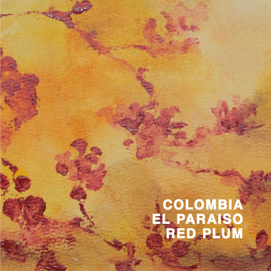 COLOMBIA EL PARAISO RED PLUM