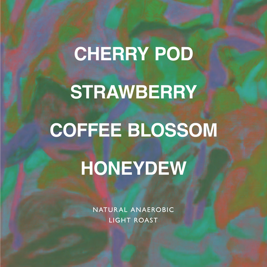 COLOMBIA LA PALMERA ASTRO LOT