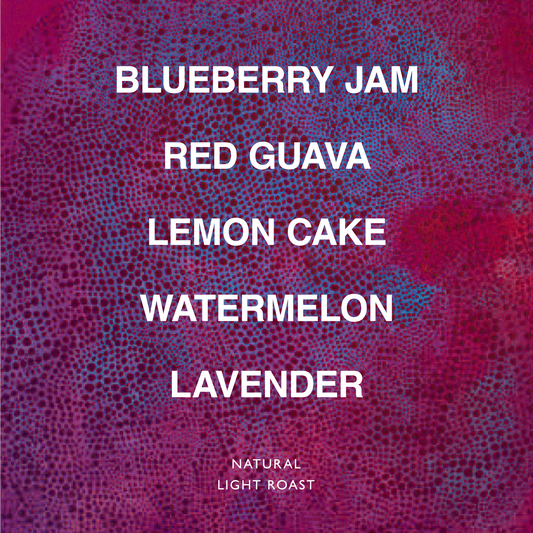 ETHIOPIA SAGARA HARO GENET G1 LOT 3