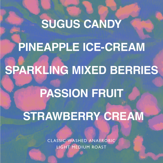 COLUMBIA EL DIVISO PINK BOURBON LOT #02