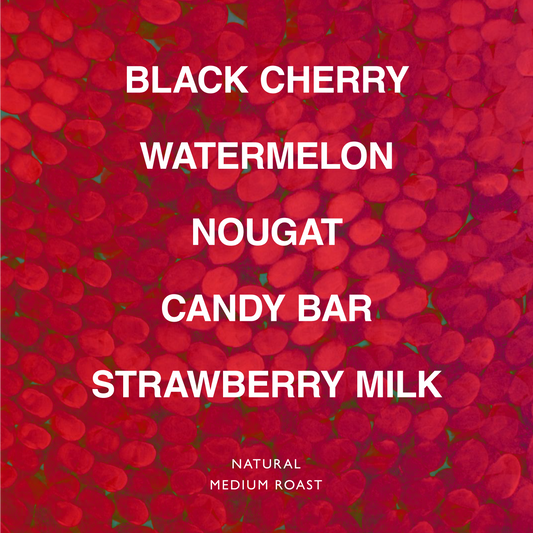 ETHIOPIA SAGARA HARO GENET G1 LOT 3