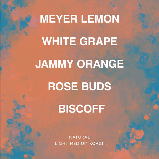 PERU FELIPE OKASHA GEISHA