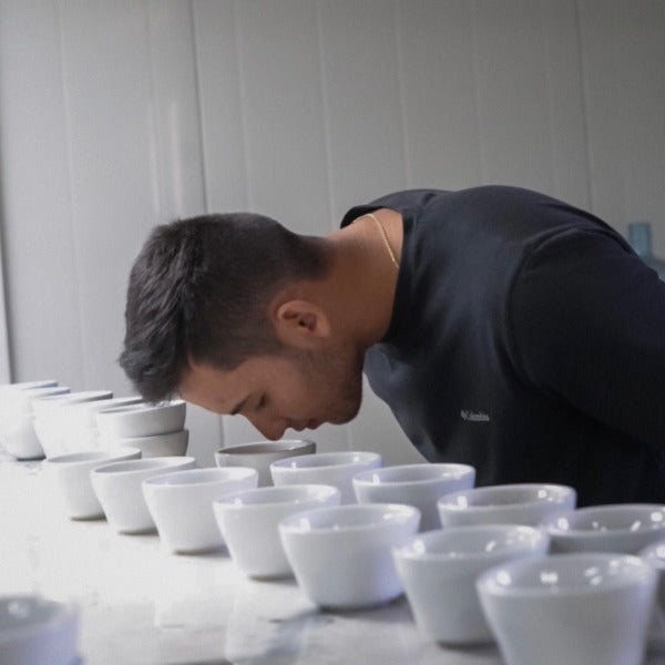 PANAMA CHEVAS TRADITIONAL TYPICA NATURAL