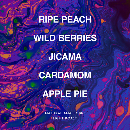 ETHIOPIA SAGARO KOKOSE ANTOLA LOT