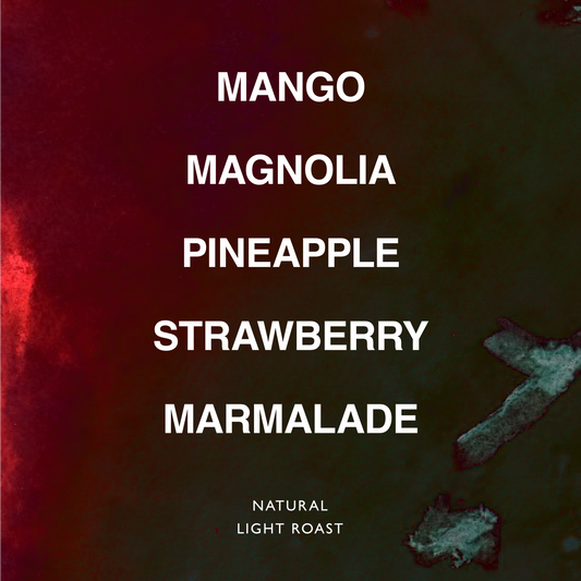 ETHIOPIA ISMAEL HASSEN KAYON MT