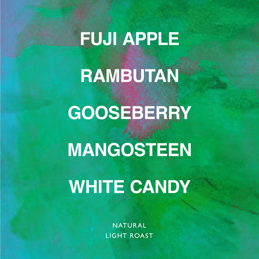 ETHIOPIA NIGUSSE NARE G1 MURANGO URAGA ANR