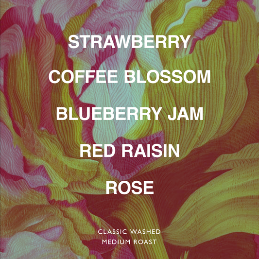 ETHIOPIA ABDO ABAMACHA NEFERTARI