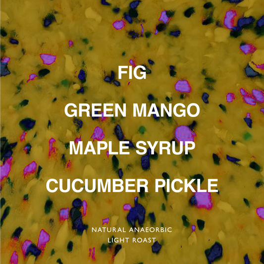 BRAZIL GABARRA GONDOL