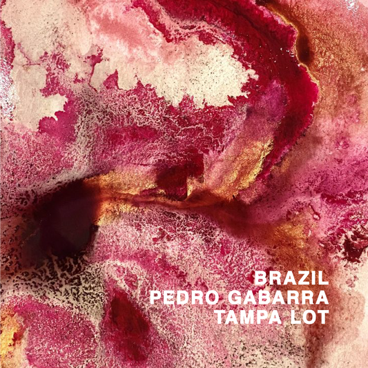BRAZIL PEDRO GABARRA TAMPA LOT