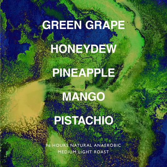 BRAZIL PEDRO GABARRA TAMPA LOT