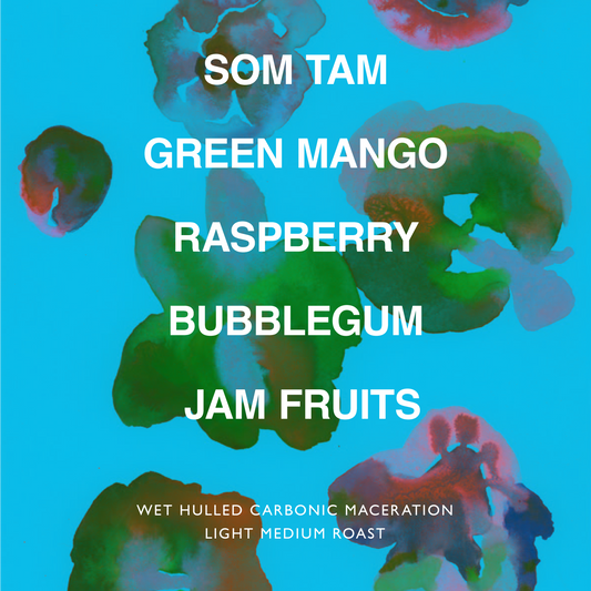 INDONESIA DAMARKANDANG GILBAS CM