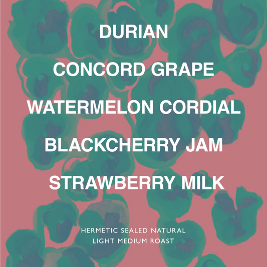 INDONESIA DAMARKANDANG YELLOW CATURRA MLETIK