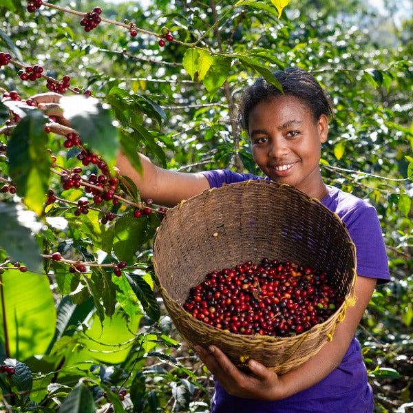 ETHIOPIA CHELCHELE JUSIU