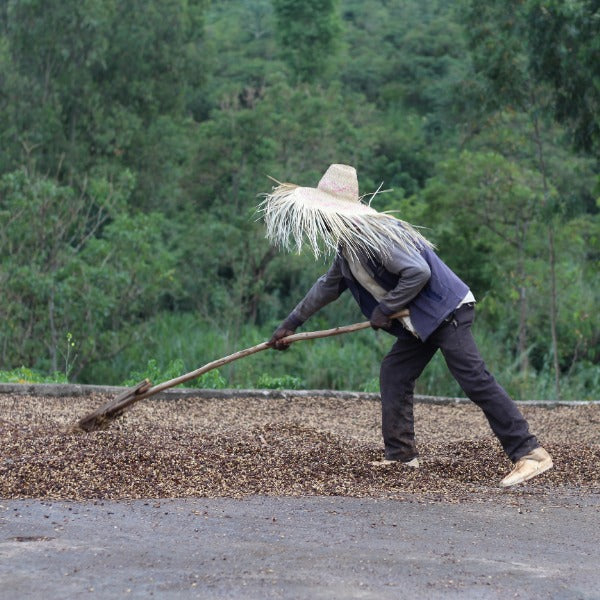 ETHIOPIA HUNDA OLI JAIKARO