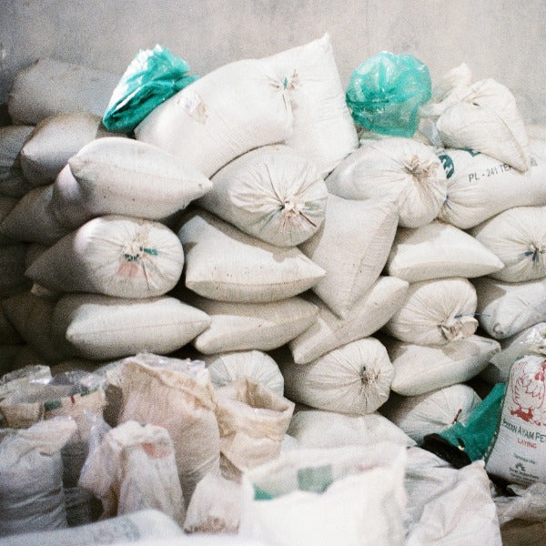 INDONESIA DAMARKANDANG YELLOW CATURRA MLETIK