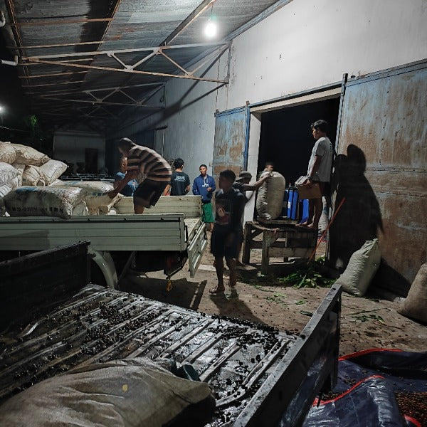 INDONESIA IJEN KEVENKA WATABIK MICROLOT
