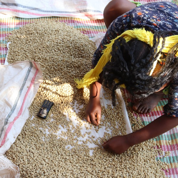 ETHIOPIA NIGUESSE NARE G1 MURANGO LOT Q