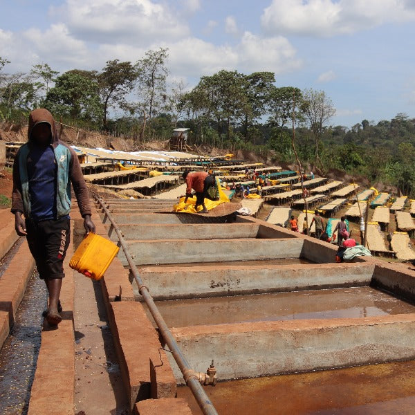 ETHIOPIA NIGUESSE NARE G1 MURANGO URAGA ANR