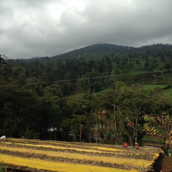 ETHIOPIA ISMAEL HASSEN KAYON MT.