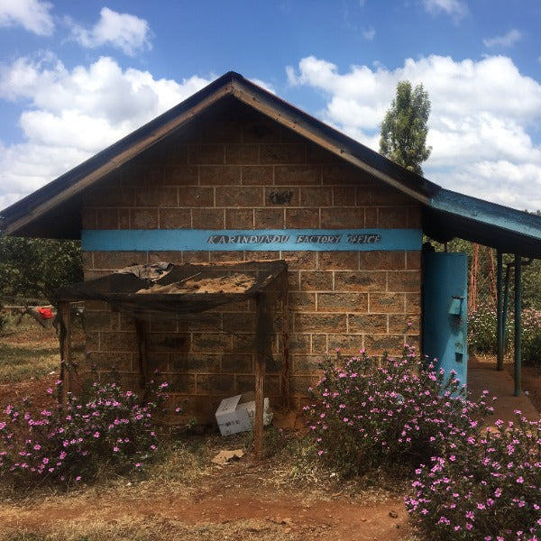KENYA KARINDUNDU AA LOT 6182