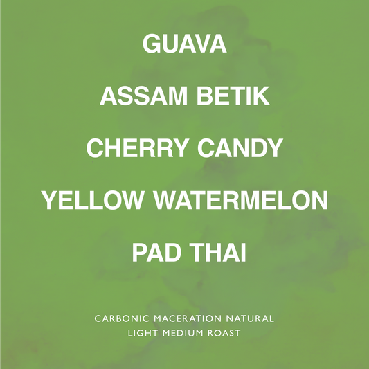 INDONESIA BUNGE LUNGI ESTATE ISABELLINE CM LOT