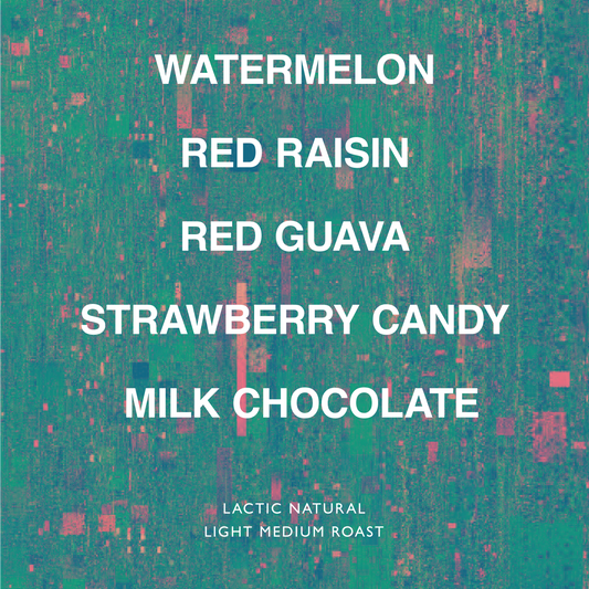 INDONESIA KERINCI NANA LACTIC