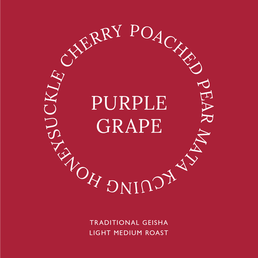 PANAMA CHEVAS TRADITIONAL GEISHA NATURAL