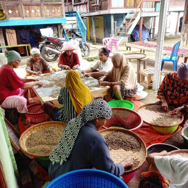 INDONESIA SEMENDO POPILOS GAYA