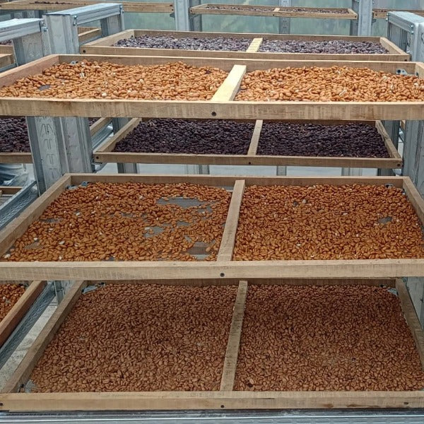 INDONESIA SELOSA DJAWA PLULUHAN