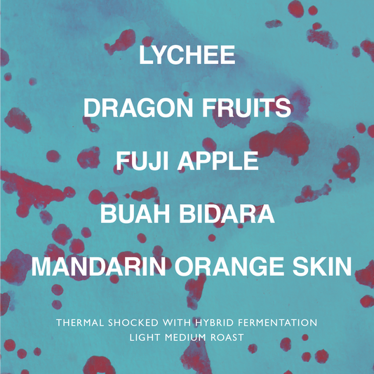 COLUMBIA EL PARAISO LYCHEE