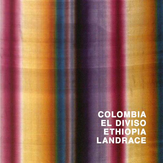 COLOMBIA EL DIVISO ETHIOPIA LANDRACE