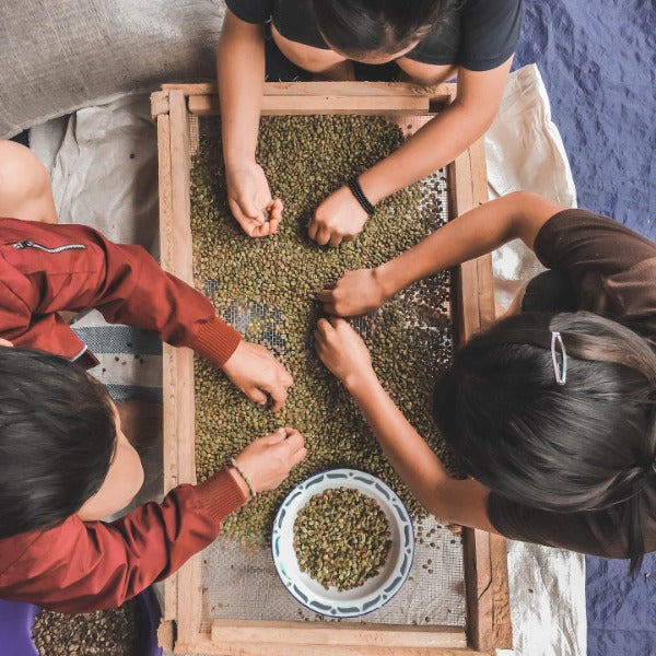 INDONESIA FLORES TUANG GULANG LOT 1627