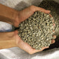 INDONESIA FLORES TUANG NATI LOT 407
