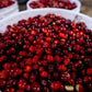 PANAMA CHEVAS TRADITIONAL GEISHA NATURAL
