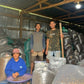 INDONESIA FLORES TUANG NATI LOT 407
