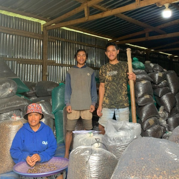 INDONESIA FLORES TUANG NATI LOT 407