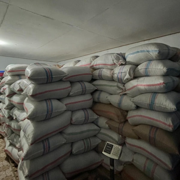 INDONESIA CURTINA SINAR AGUNG