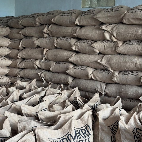 INDONESIA CURTINA MATIYA SURYA