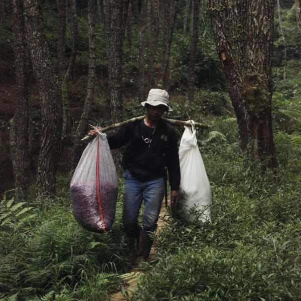INDONESIA BEKALI HJ. CUCU SUKABUMI