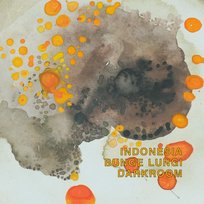 INDONESIA BUNGE LUNGI DARKROOM