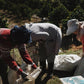 INDONESIA BUNGE LUNGI ESTATE JULIA CM LOT