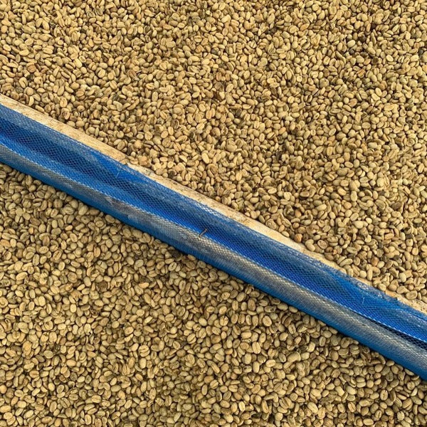 INDONESIA FLORES TUANG GULANG LOT 1061