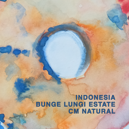 INDONESIA BUNGE LUNGI CM ISABELLINE