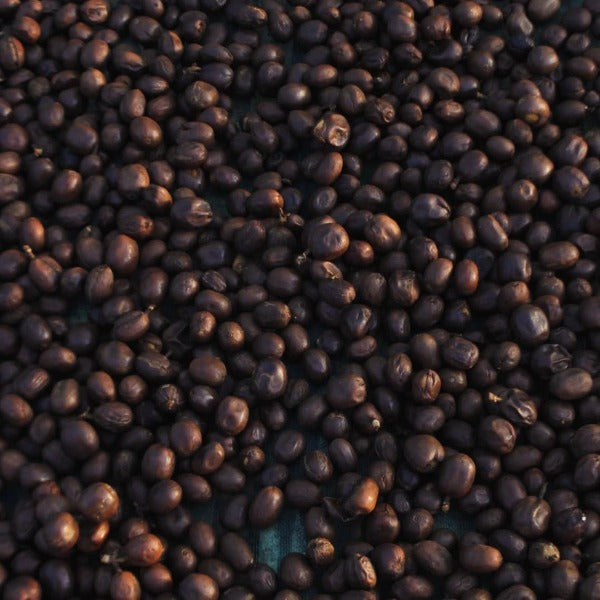 INDONESIA BEKALI HJ. CUCU SUKABUMI