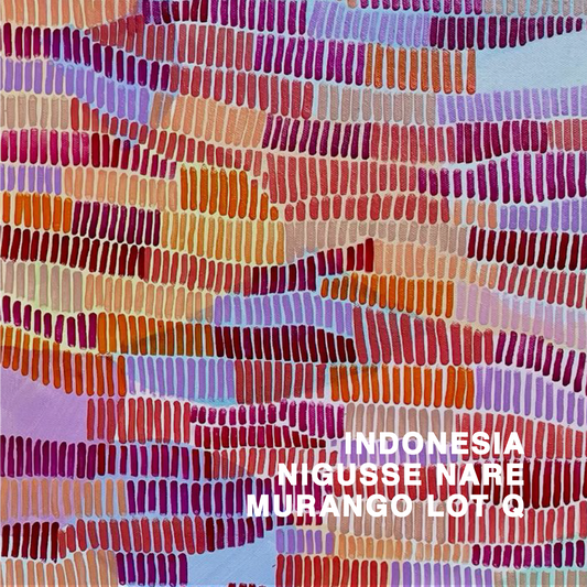 ETHIOPIA NIGUESSE NARE G1 MURANGO LOT Q