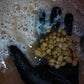 PANAMA CHEVAS TRADITIONAL CATUAI NATURAL