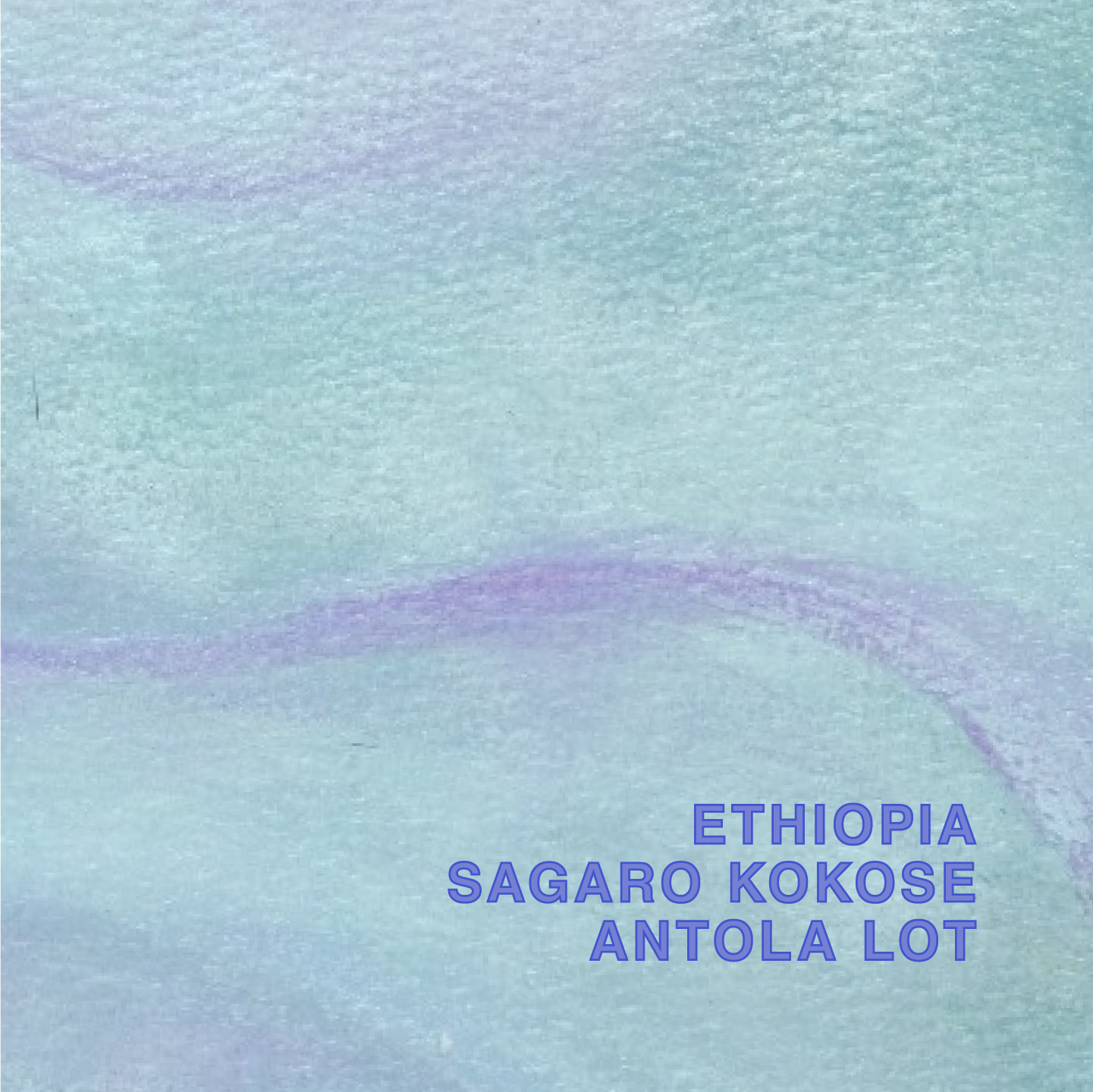 ETHIOPIA SAGARO KOKOSE ANTOLA LOT